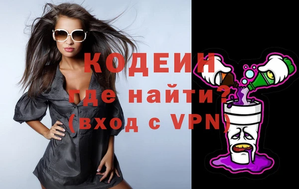 молекула духа Новозыбков